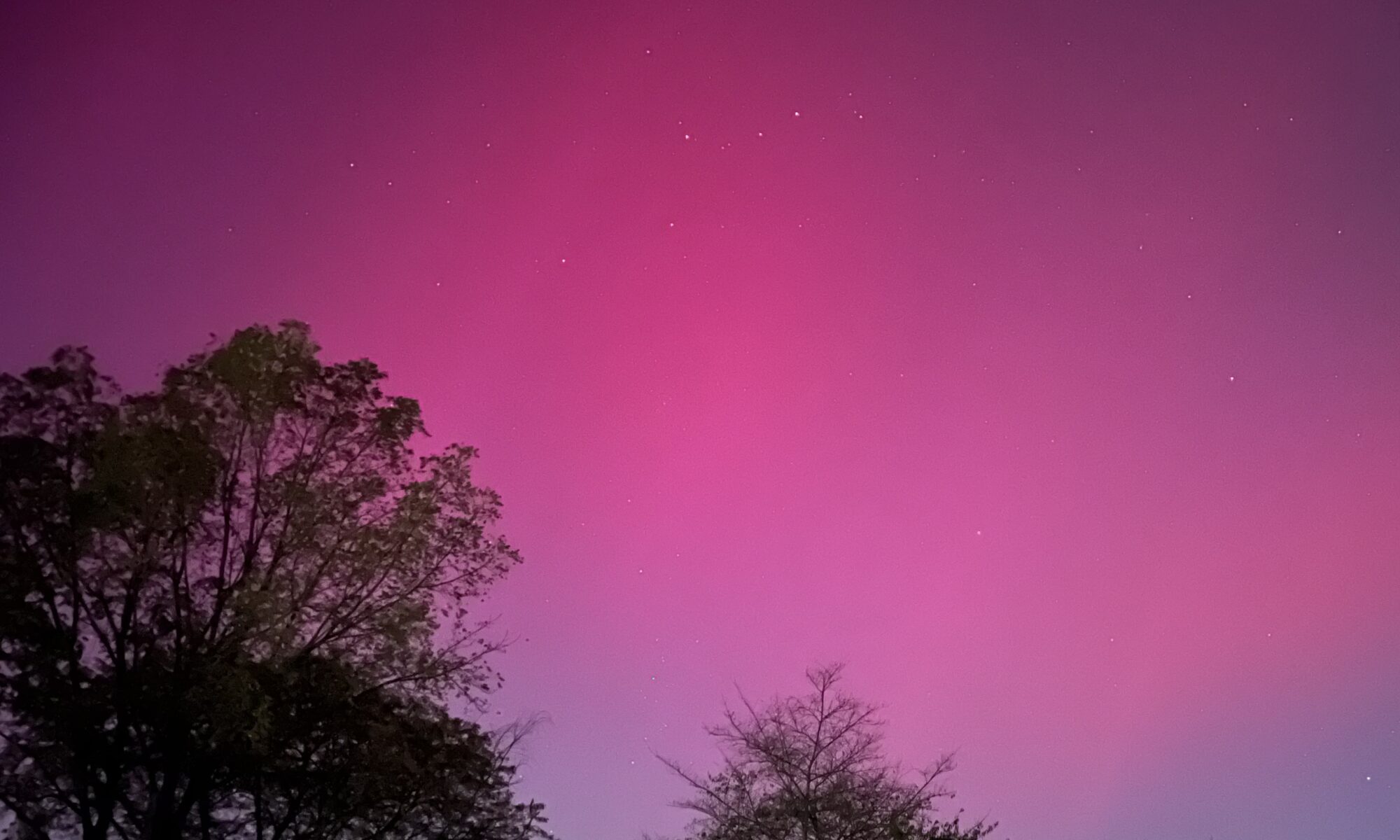 A pink and purple sky, caused by an aurora, with tree silhouettes in the foreground and a few stars poking through the color field.